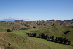 Forgotten World Highway