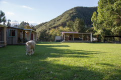 Der Rasenmäher ist auch unterwegs