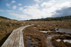 Zugstrecke über das Moor