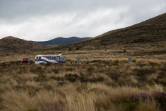 so reisen die älteren Kiwis