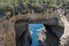 Tasman Arch