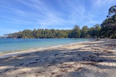 20250205-Tasmanien-IMG_6622