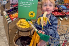 Tasmanischer-Sommer-001