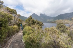 Tasmanischer-Sommer-011