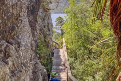 Tasmanischer-Sommer-016