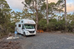 Tasmanischer-Sommer-026