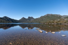 Tasmanischer-Sommer-029