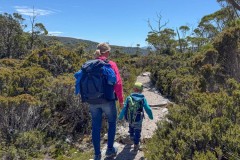 Tasmanischer-Sommer-037