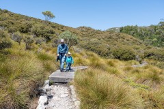 Tasmanischer-Sommer-038