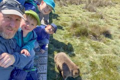 Tasmanischer-Sommer-041