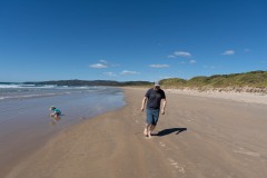 Tasmanischer-Sommer-049