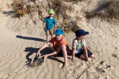 Tasmanischer-Sommer-053