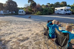 Tasmanischer-Sommer-054