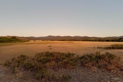 Tasmanischer-Sommer-056