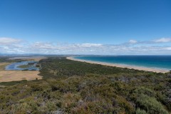 Tasmanischer-Sommer-060