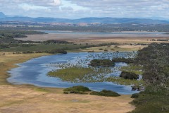 Tasmanischer-Sommer-061