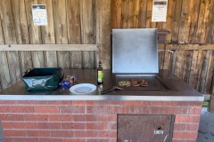 Tasmanischer-Sommer-066