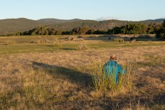 Tasmanischer-Sommer-068