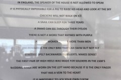 Tasmanischer-Sommer-079