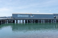 Tasmanischer-Sommer-080