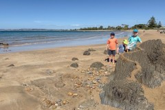 Tasmanischer-Sommer-082