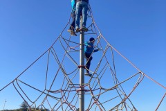 Tasmanischer-Sommer-084