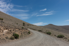 in den Bergen der Zebras