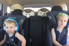 Man beachte die multifunktionalen Igel