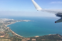 Bye Bye Darwin