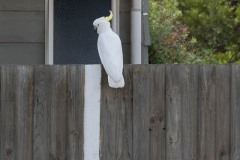 Vom-Meer-in-die-Berge-006