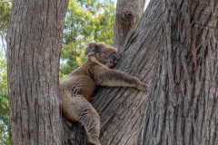 Vom-Meer-in-die-Berge-029