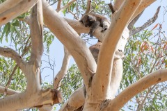 Vom-Meer-in-die-Berge-030