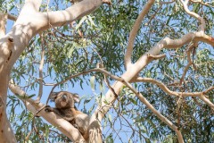 Vom-Meer-in-die-Berge-037