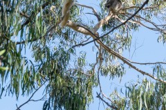 Vom-Meer-in-die-Berge-057