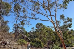 Vom-Meer-in-die-Berge-058