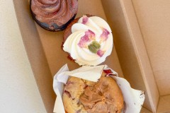 Vom-Meer-in-die-Berge-066