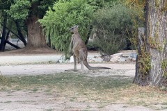 Vom-Meer-in-die-Berge-073