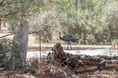 Vom-Meer-in-die-Berge-089