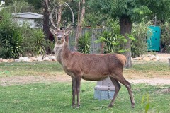 Vom-Meer-in-die-Berge-091