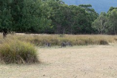 Vom-Meer-in-die-Berge-092