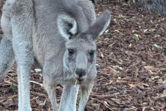 Vom-Meer-in-die-Berge-096