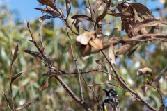 Buchten-und-Berge-039