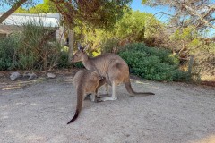 Buchten-und-Berge-041