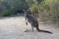 Buchten-und-Berge-049