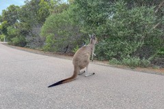 Buchten-und-Berge-051