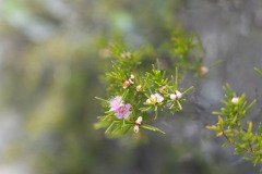 Buchten-und-Berge-054