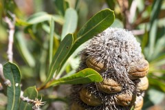 Buchten-und-Berge-070