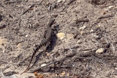 Buchten-und-Berge-073