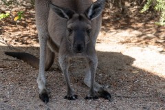 Buchten-und-Berge-077