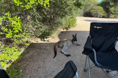 Buchten-und-Berge-078